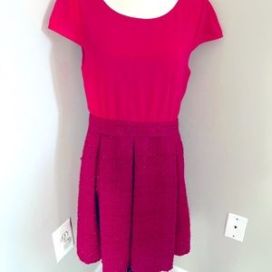 Dress was purchased from the Francesca’s - cute winter dress tweed fabric.